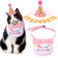 DOPENSPI Cat Birthday Party Supplies, Pink Cat Birthday Hat with Number and Collar Cute Kitten Bandana Party Decorations Outfits for 0-8 years Kitten
