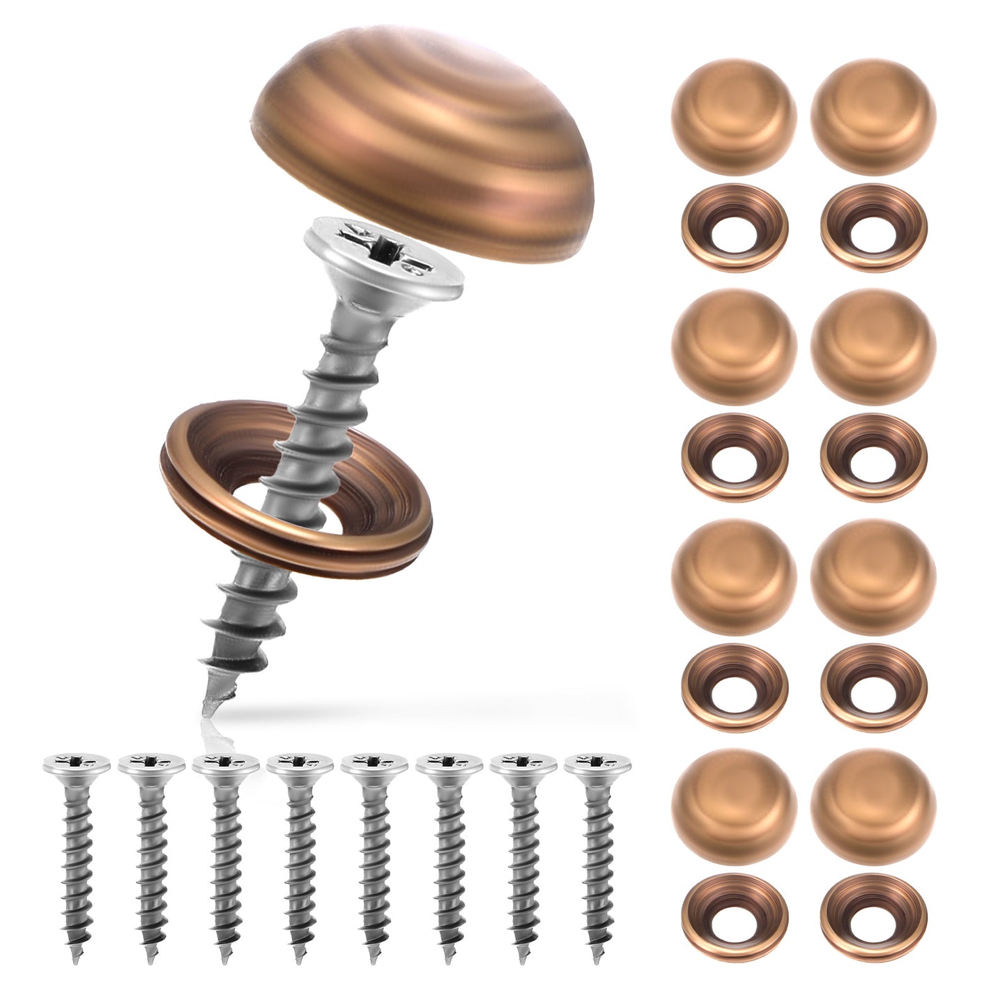 GEEHUA 8 Pcs Brass Decorative Screws with Caps, Self Tapping Mirror Fixing Screw Cabinet Doors Windows Screws Cover Fastener for Furniture Painting Mirror Fixing Wall Hangings