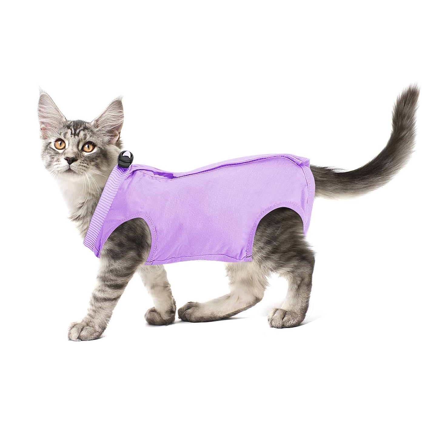 cobee Cat Professional Recovery Suit for Abdominal Wounds or Skin Diseases, Kitten Surgery Recovery Suit E-Collar Alternative for Cats After Surgery Wear Pajama Suit (M Size, Purple)