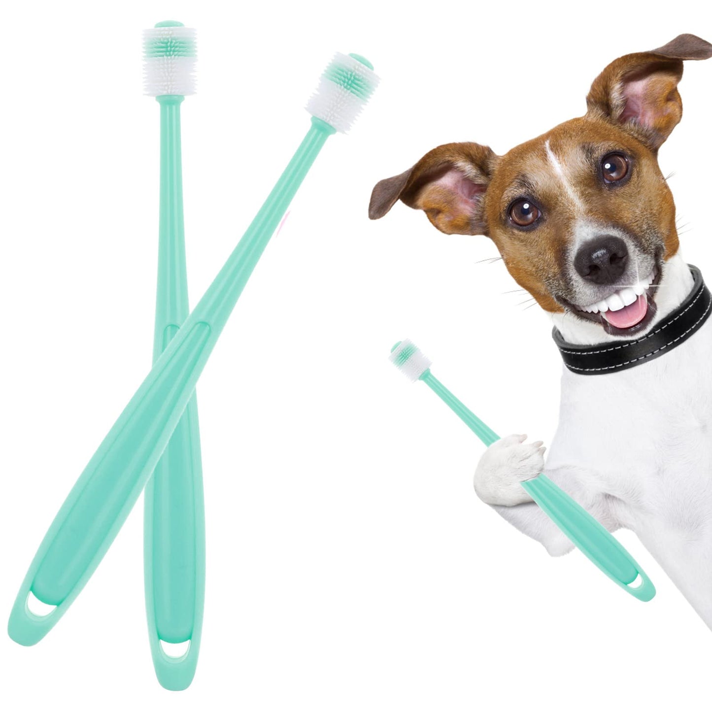cobee 360 Degree Cat Dog Toothbrush, 2 Pieces Cat Silicone Toothbrushes with Storage Box Puppy Manual Tooth Brush Pet Tooth Cleaning Kit (2 Pcs Blue)