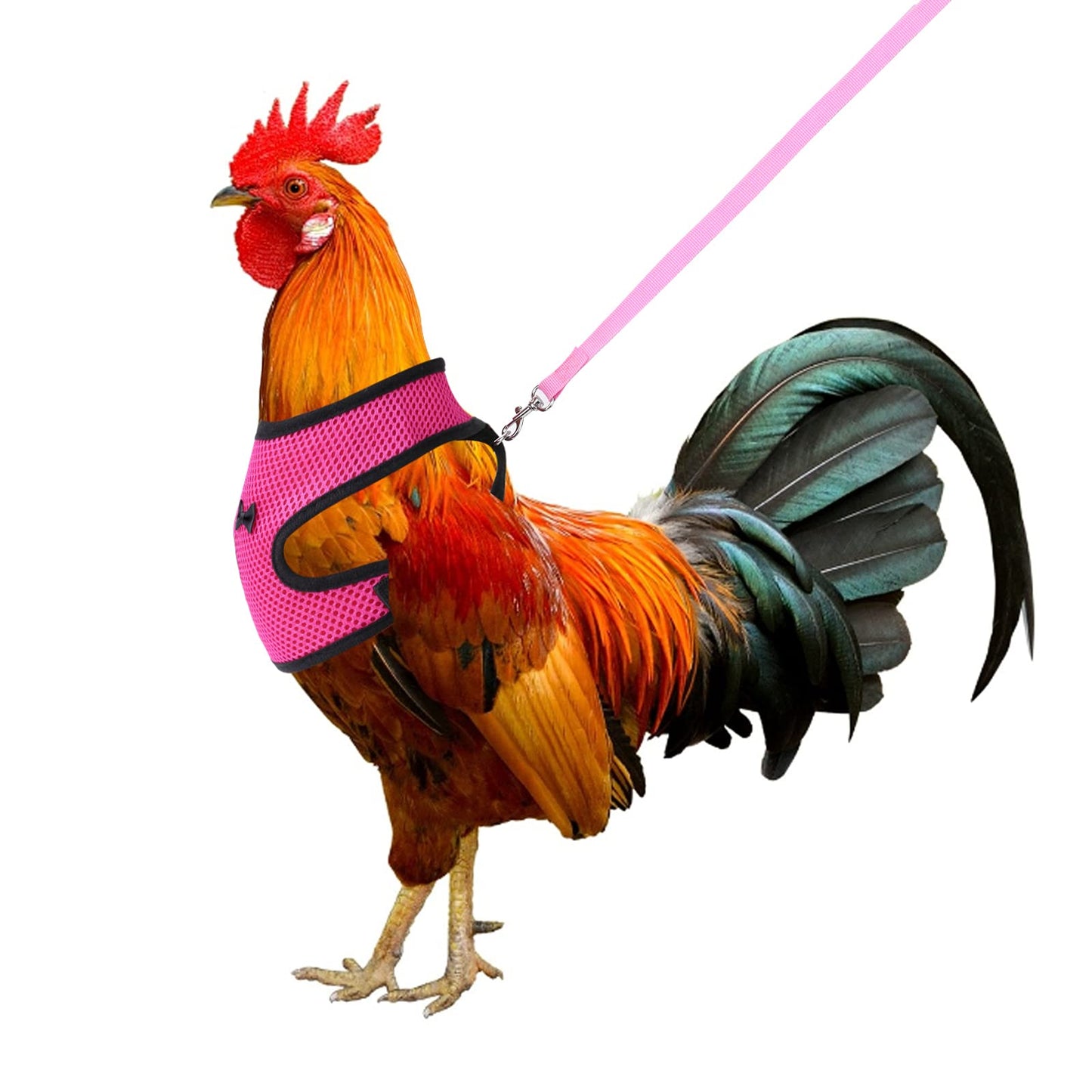 Molain Chicken Harness with Leash Adjustable Breathable Hen Pet Vest Pet Harness for Duck Goose Hen Traning Walking Medium (pink)