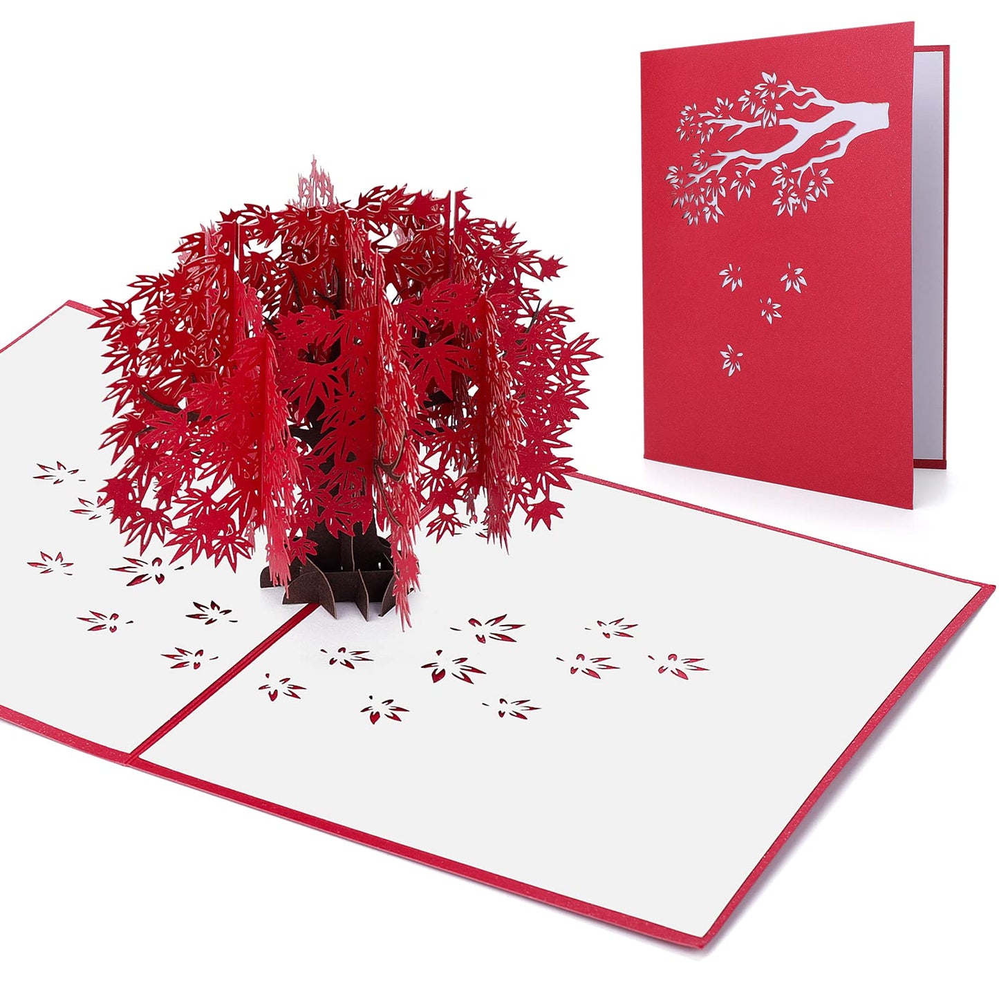 Molain Pop Up Anniversary Card, 3D Greeting Card PopUp Love Card for Anniversary Wedding Mother's Day Birthday Graduation Thank You Get Well Wife Husband Parents Couple Girlfriend 8 x 6 inch