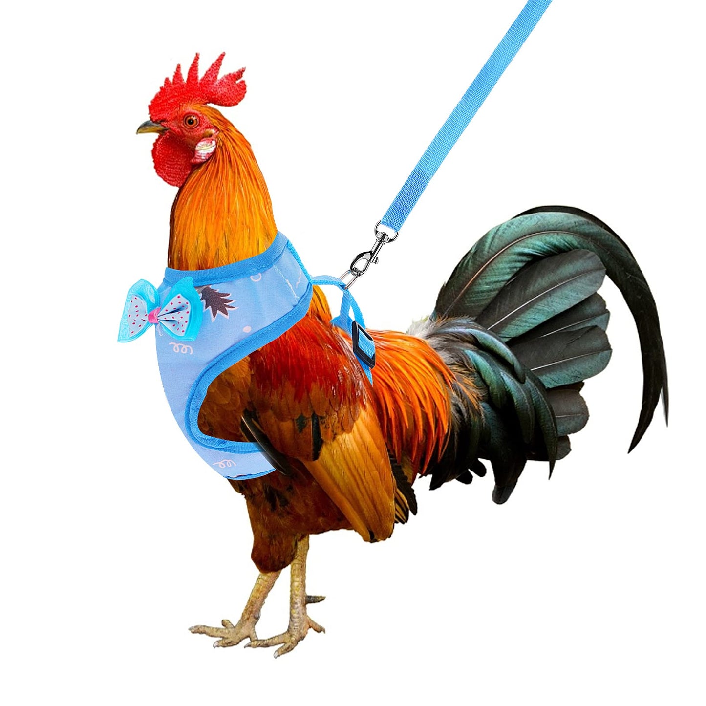 Molain Chicken Harness with Leash Adjustable Breathable Hen Pet Vest Pet Harness for Duck Goose Hen Walking Medium (blue)