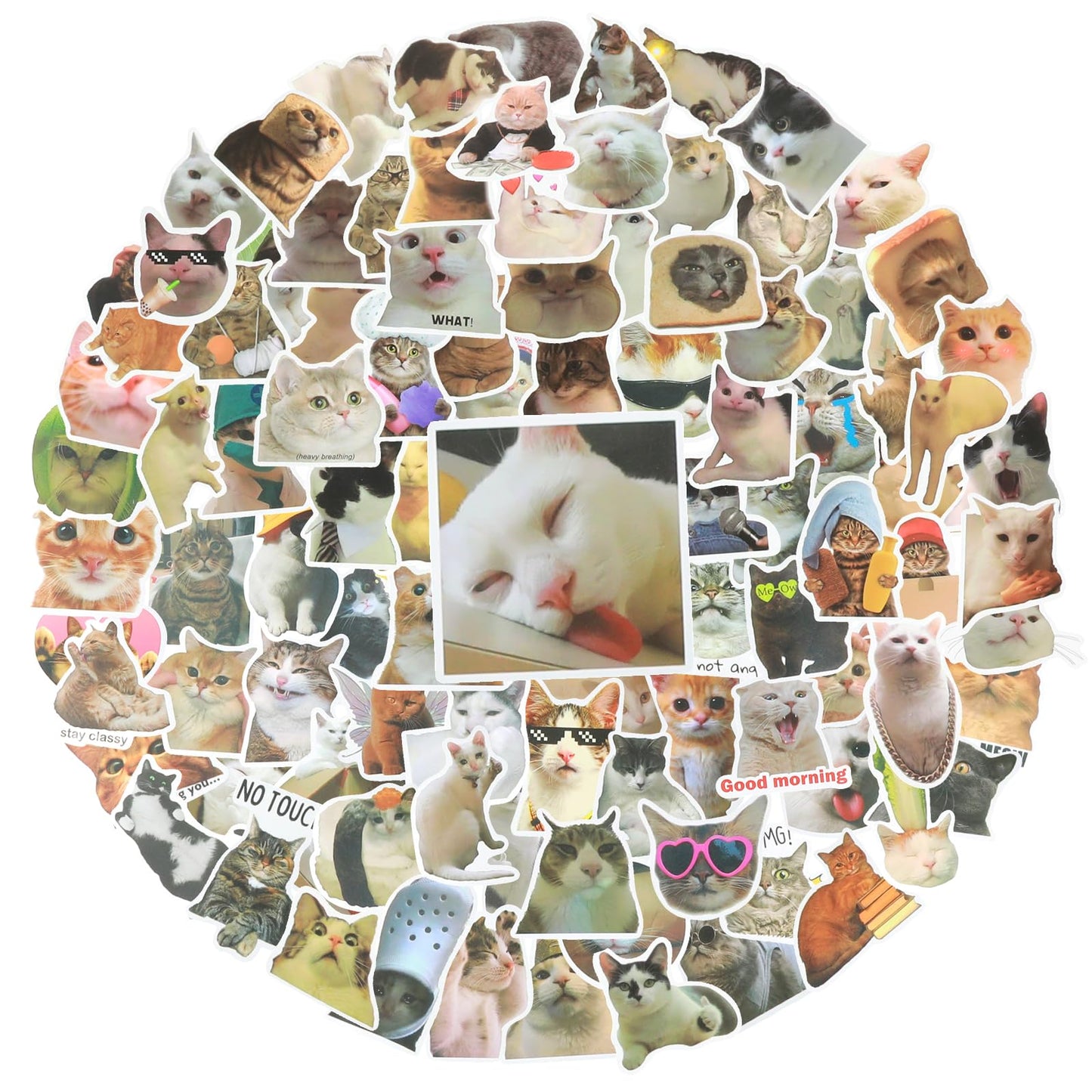 cobee Funny Cat Stickers Set, Cute Cat Decals Waterproof Vinyl Stickers Aesthetic Decals for Cat Lovers Water Bottle Scrapbook Phone (100 Pcs Cat)