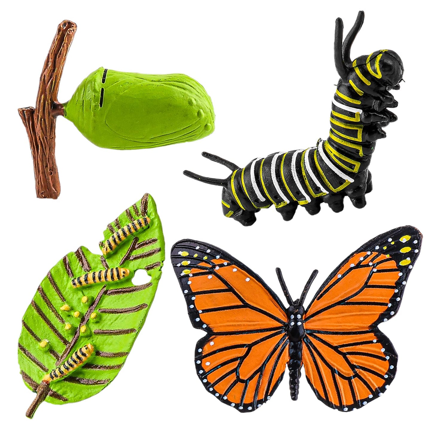 cobee Insect Figurines Life Cycle of Butterflies Growth Model, 4 Pcs Preschool Learning Teaching Insect Growth Cycle Model Toy Realistic Animal Figures Insect Education Growth Stage Model Props