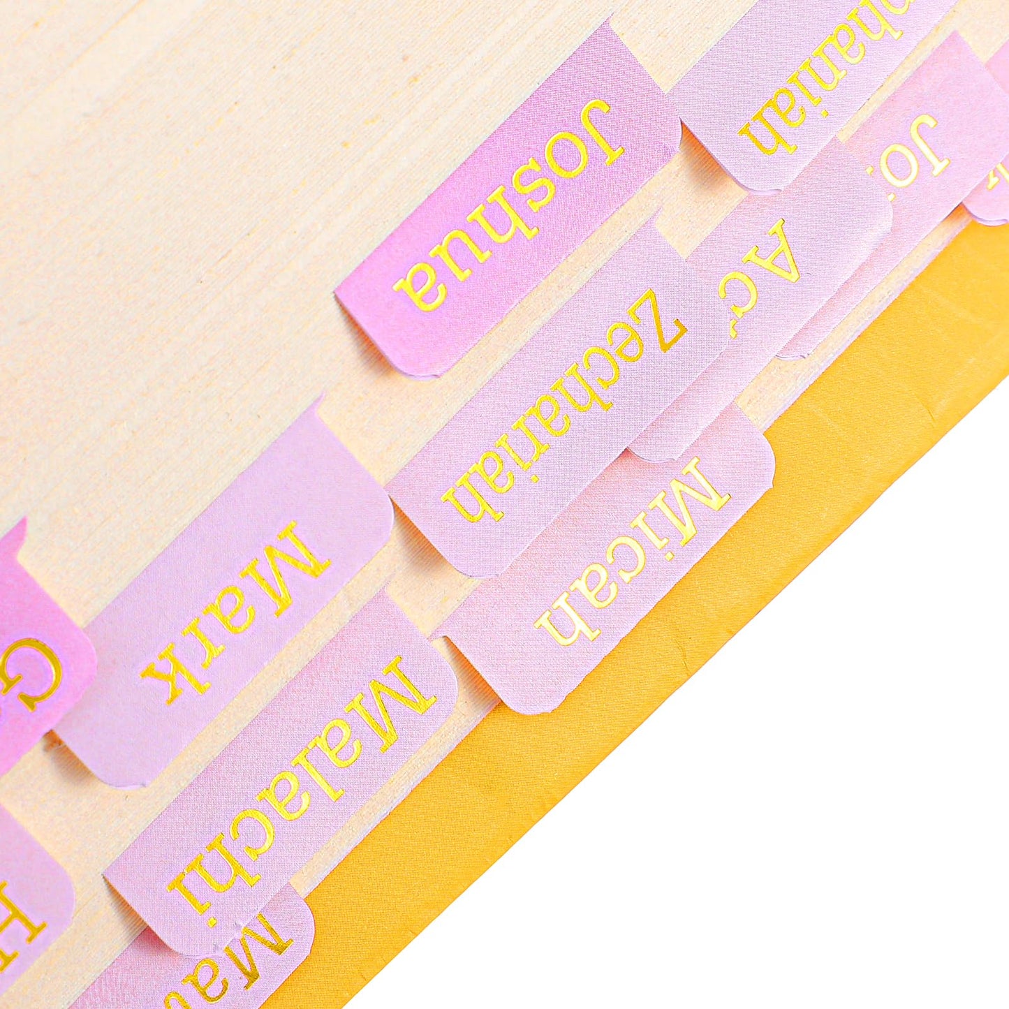 WJIAAA Bible Register for Women, 96 Pieces, Bible Tabs, German, Bible Accessories with Blank Laminated Bible Riders, Study, Bible, Journaling Accessories, Gold Foil Print, Pink