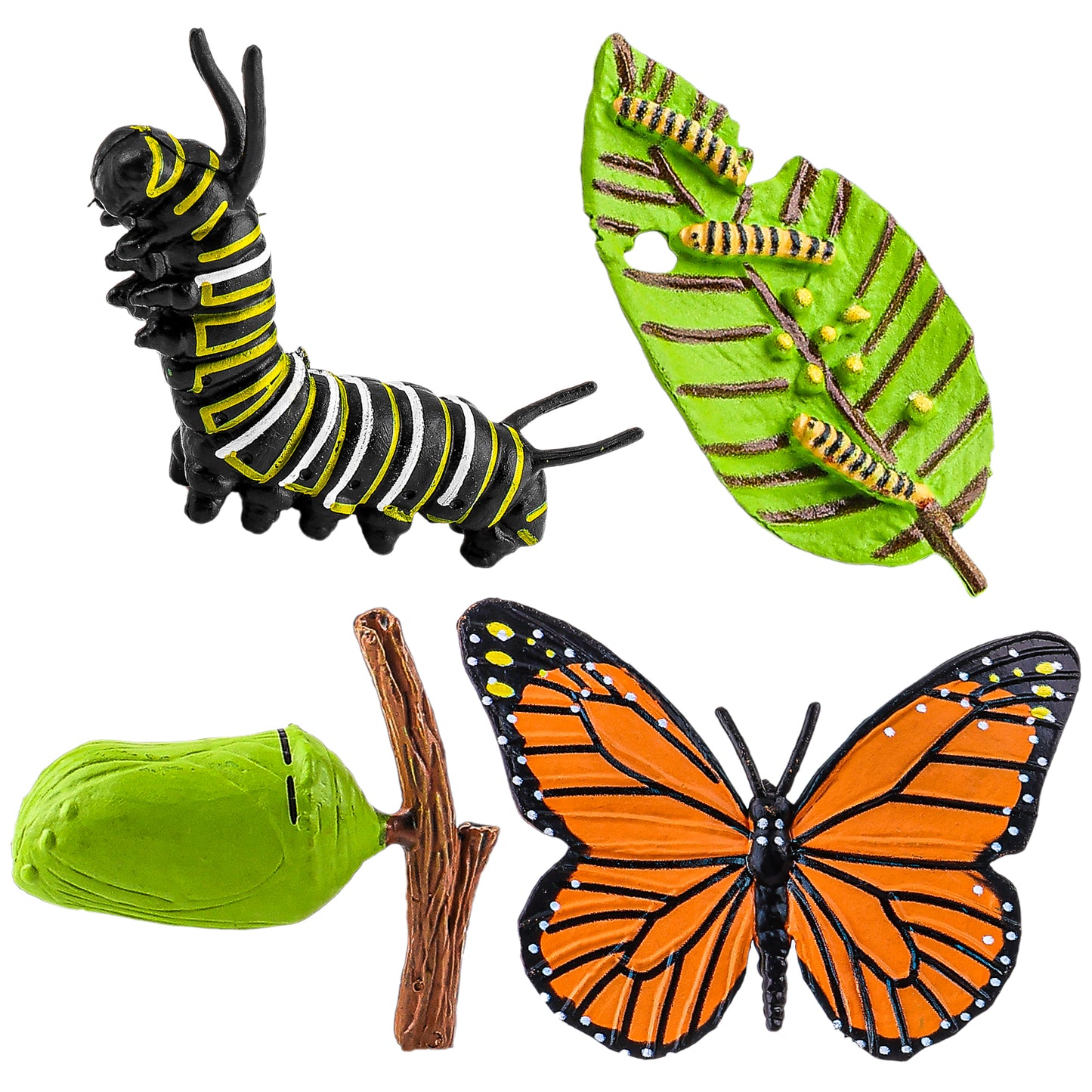 GEEHUA 4 Pcs Butterfly Life Cycle Model, Educational Insect Life Cycle Toys Realistic Butterfly Toy Figurines Plastic Animal Insect Figures for Teaching Tools School Science Project