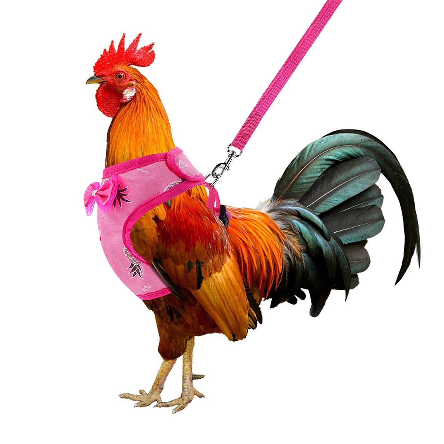 Molain Chicken Harness with Leash Adjustable Breathable Hen Pet Vest Pet Harness for Duck Goose Hen Walking Medium (pink)