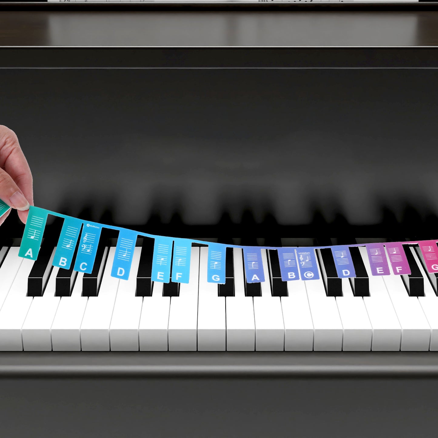 JIYIN Removable Piano Keyboard Note Labels, 61 Key Full Size Silicone Piano Keyboard Labels for Beginners, Rainbow Pianos Key Music Notes Letter Label Reusable with Box(Rainbow)