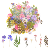 simarro 4 Packs of Transparent Flower Stickers (80 Pieces) Pressed Flower Themed Sticker Set, PET Natural Plant Scrapbook Stickers, for Scrapbooking Supplies, Diaries, Cell Phones, Laptops