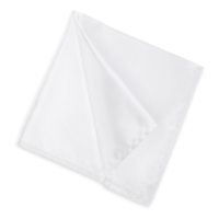TIESOME Men's Pocket Square Satin White Pocket Square for Men Solid Color Handkerchief Suit Pocket Squares Classic Pure Silk Hankies
