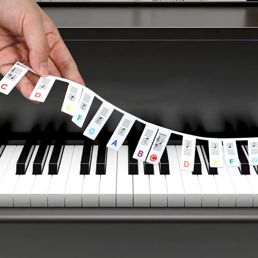 JIYIN Removable Piano Keyboard Note Labels, 88 Key Full Size Silicone Piano Keyboard Labels for Beginners, Colourful Pianos Key Music Notes Letter Label Reusable with Box(Rainbow)