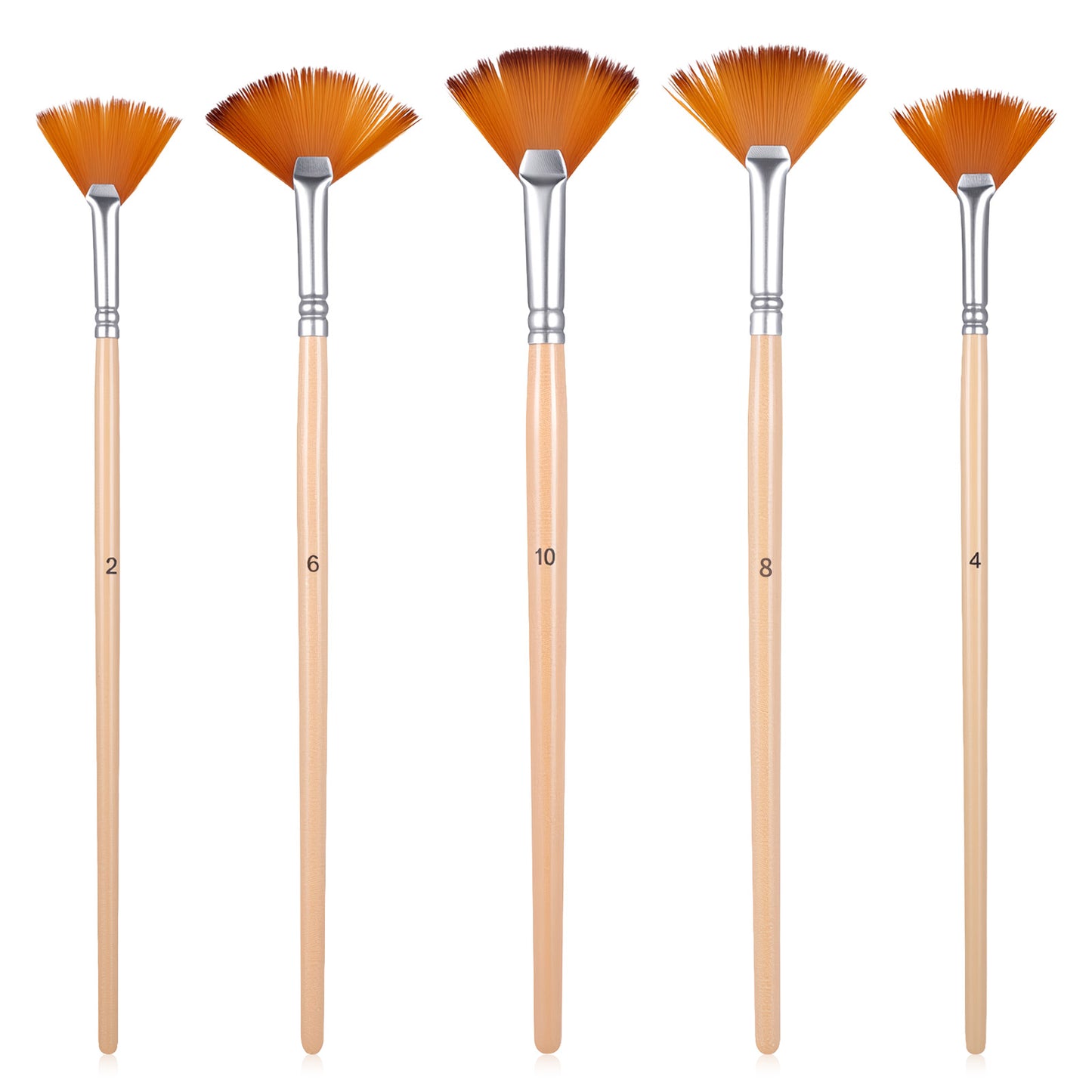 HJZHII 5 Pcs Fan Brush for Painting, Artist Fan Paint Brushes Set Long Wood Handle Painting Brush Anti-Shedding Acrylic Paint Brushes for Acrylic Oil Watercolor Gouche Kits(2#, 4#, 6#, 8#, 10#)