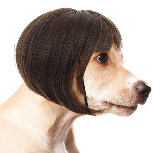 Molain Funny Dog Cat Cosplay Wig, Pet Wigs Trimmable Pet Costume for Halloween, Christmas, Parties, Festivals, Dog Wigs for Small Medium Large Dogs, Brown