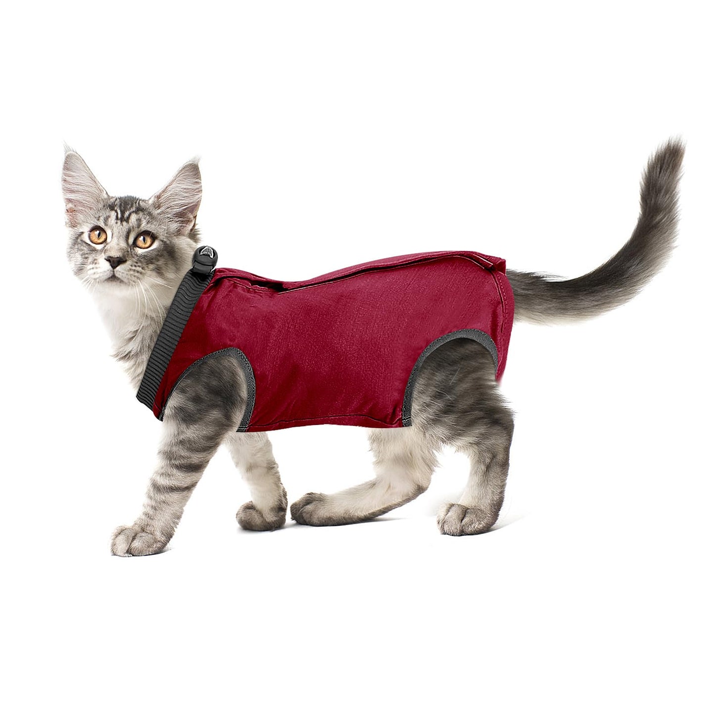 cobee Cat Professional Recovery Suit for Abdominal Wounds or Skin Diseases, Kitten Surgery Recovery Suit E-Collar Alternative for Cats After Surgery Wear Pajama Suit (S Size, Red)