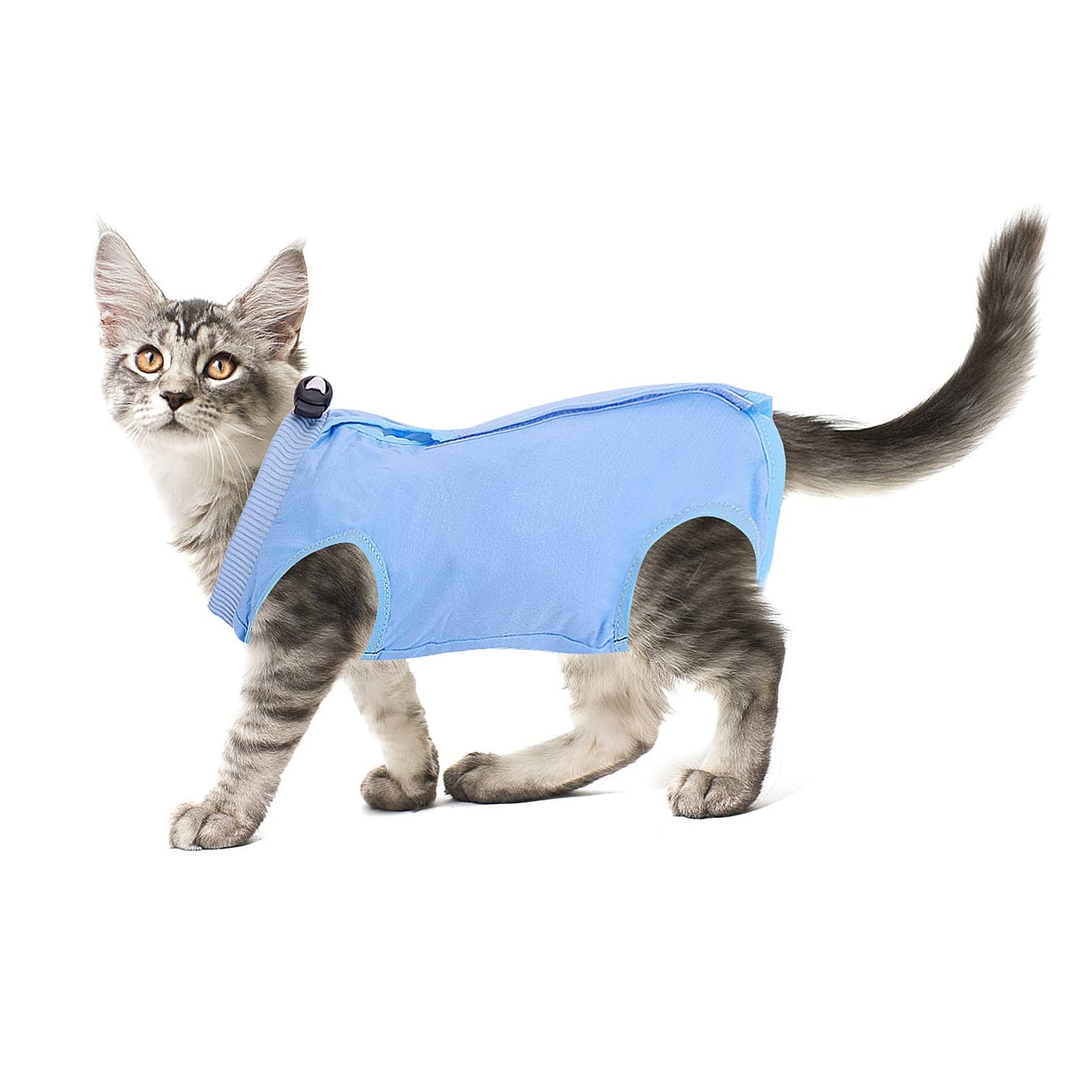 cobee Cat Professional Recovery Suit for Abdominal Wounds or Skin Diseases, Kitten Surgery Recovery Suit E-Collar Alternative for Cats After Surgery Wear Pajama Suit (M Size, Blue)