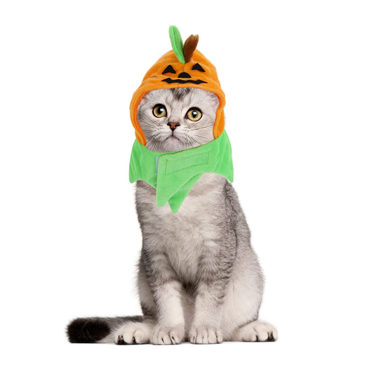 Molain Cute Cat Costumes, Cat Funny Pumpkin Hat Adjustable Hat for Party Decoration Small Pet Cat Cap