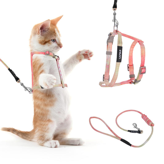 Giantree Cat Harness with Leash and Collar Set, Adjustable H-shaped Kitten Harness Escape Proof Harness Glow in The Dark for Kitty Outdoor Walking (Orange)