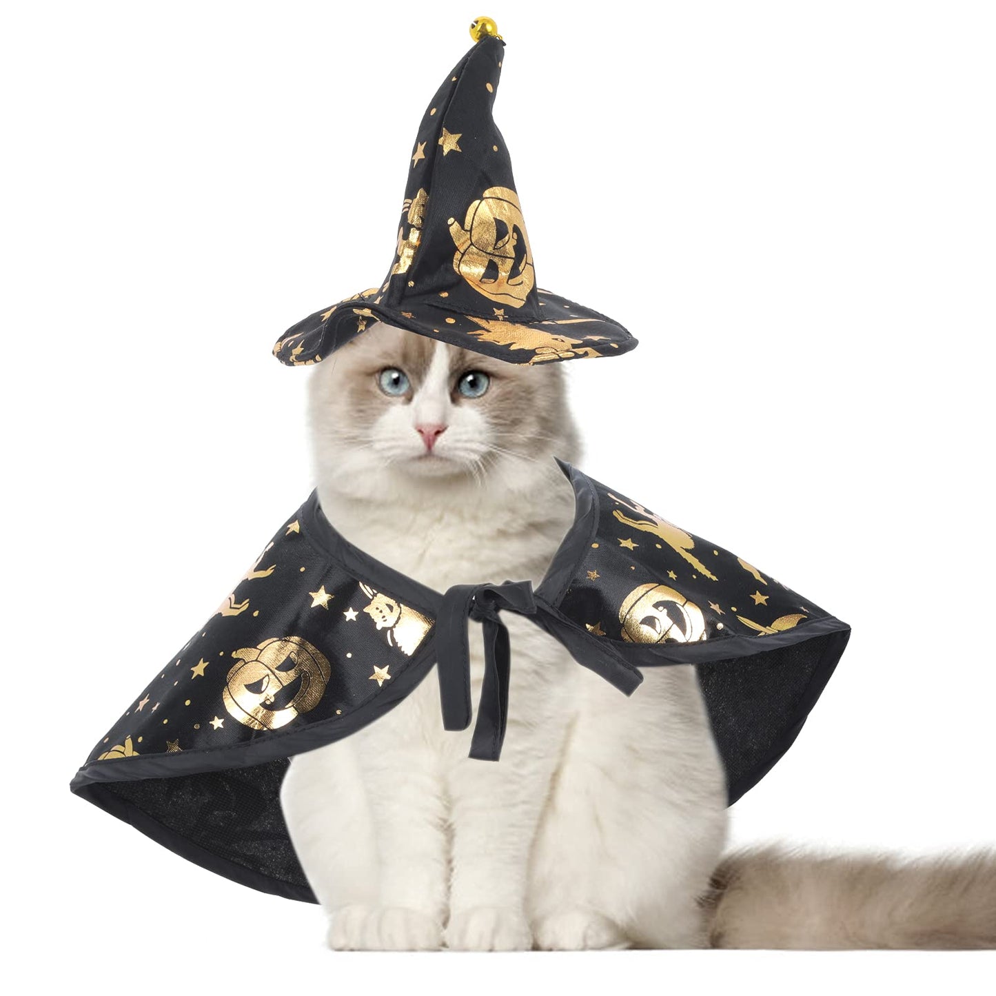 Molain Halloween Dog Cat Costume, Pet Wizard Hat Cape, Dog Pumpkin Costume, Dog Outfits Witch Cape for Small Dogs, Kitten Puppy Apparel for Halloween Birthday Cosplay Party