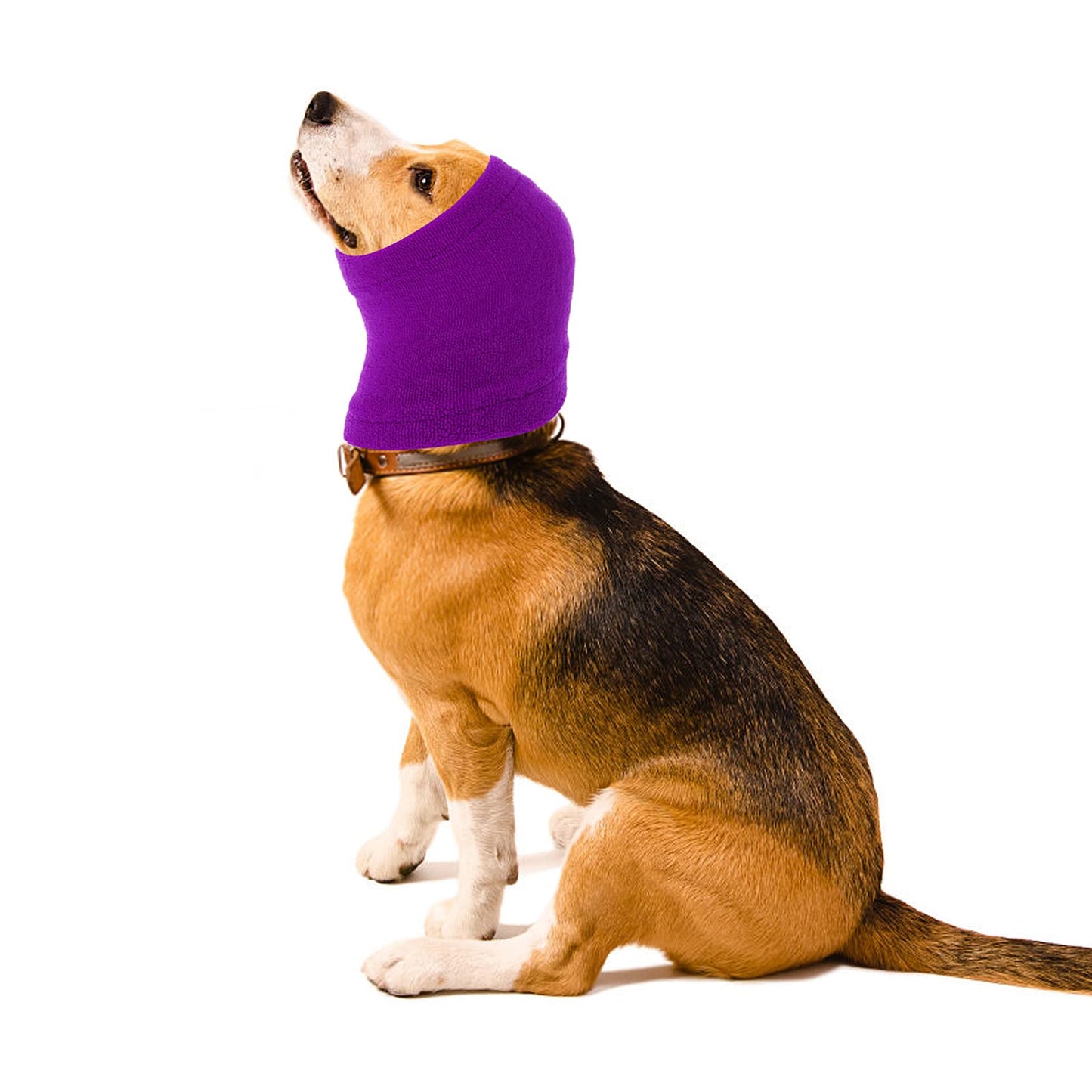 cobee Dog Snood for Dog Neck and Ears Warmer, Pet Dog Earmuff for Comfort Anti-anxiety Bathing Grooming Reducing Noise Dog Neck and Ear Warmer Hood Calming Pet Snood Ear Covers (L Size, Purple)