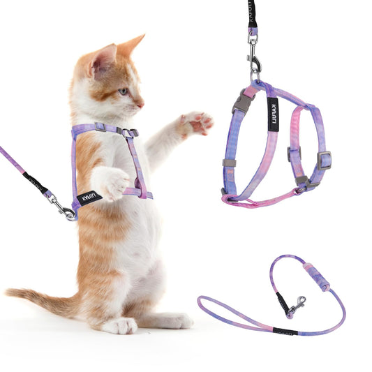 Giantree Cat Harness with Leash and Collar Set, Adjustable H-shaped Kitten Harness Escape Proof Harness Glow in The Dark for Kitty Outdoor Walking (Gradient Purple)