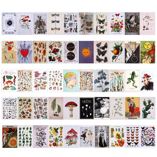 Molain 50 Pcs Vintage Botanical Illustration Aesthetic Pictures Wall Collage Kit, Nature Green Vintage Posters for Room Aesthetic Art Posters Collage Print Kit Botanical Wall Art for Botanical Lovers