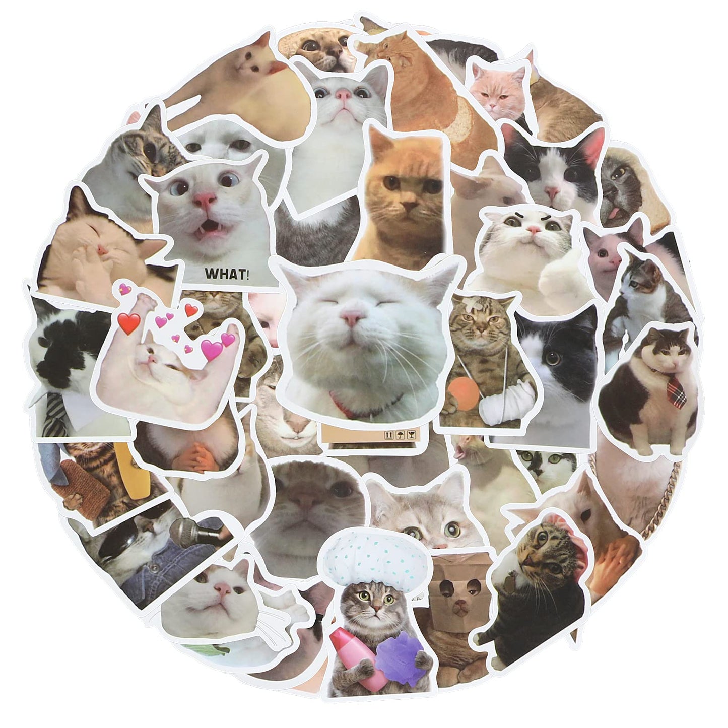 cobee Funny Cat Stickers Set, 50 Pcs Cute Cat Decals Waterproof Vinyl Stickers Aesthetic Decals for Cat Lovers Water Bottle Scrapbook Phone (Cat Shape)