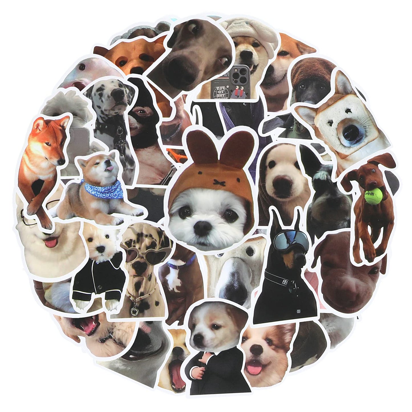 cobee Funny Dog Stickers Set, 50 Pcs Cute Dog Decals Waterproof Vinyl Stickers Aesthetic Decals for Dog Lovers Water Bottle Scrapbook Phone (Dog Shape)