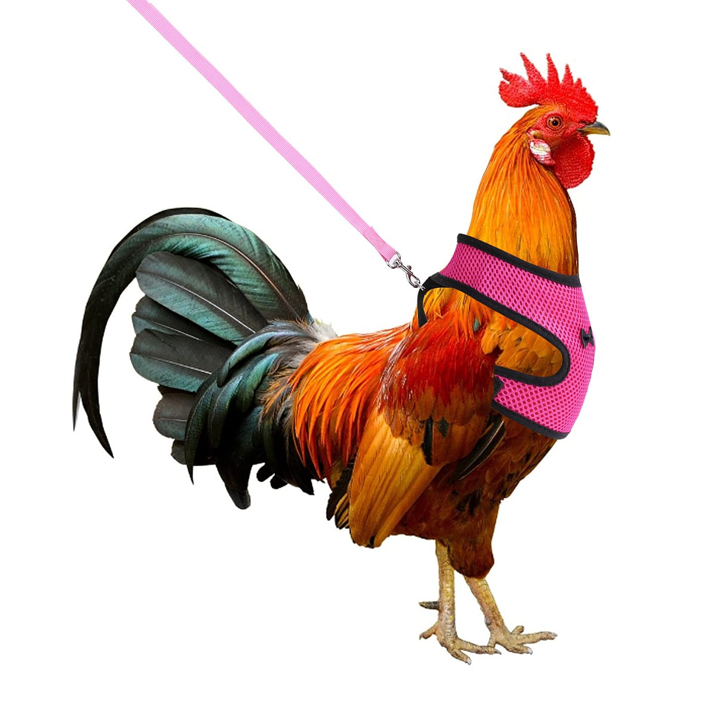 cobee Chicken Harness Leash Set, Breathable Hen Vest Adjustable Pet Harness Set for Duck Goose Hen Traning Walking Medium (pink)