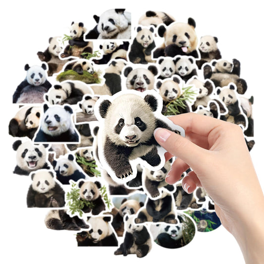 Amaxiu Cute Panda Stickers, 50Pcs Panda Decals Waterproof Vinyl Animals Stickers Aesthetic Decals Decorative Cartoon Stickers for Panda Lover Water Bottle Party Scrapbook Phone Laptop