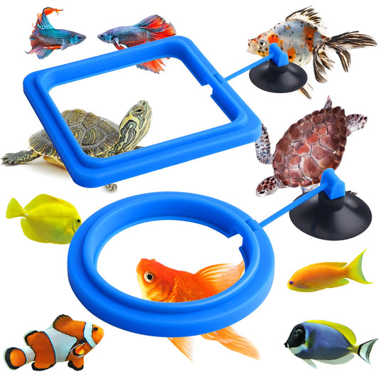 Molain Fish Feeding Ring, 2 Pieces Fish Feeder Aquarium Fish Turtle Tank Accessories Food Feeder Circle For Guppy, Bettas, goldfish, Turtle (Blue)