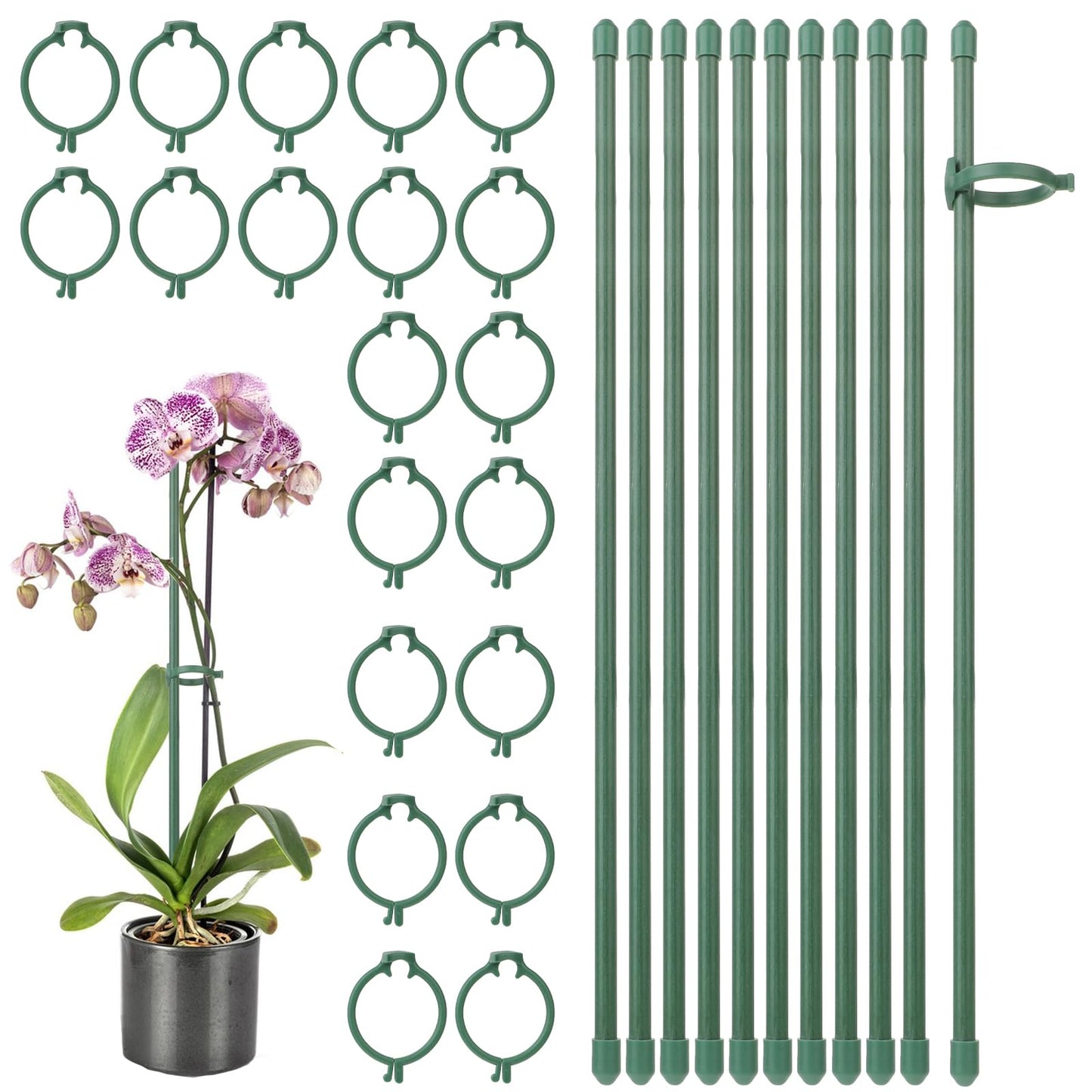 Giantree 12 Inch Plant Support Stakes, 10 Pcs Adjustable Plant Support Bracket with 20 Pcs Adjustable Retaining Ring, Green Plant Support Sticks for Potted Plants and Indoor Plants Flowers Climbing