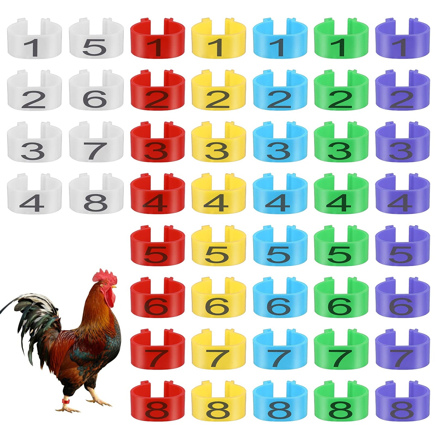 Molain 48 Pieces Chicken Leg Rings 16 mm Chicken Numbered Clip Rings Multiple Colour Chicken Identification Numbered Poultry Leg Bands Clip-on Chicken Ankle Ring For Turkey Ducks Chicks Chicken Guinea