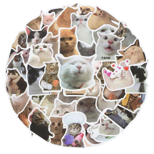 Amaxiu Funny Vinyl Cat Stickers, 50 Pcs Cute Cat Decals Waterproof Water Bottle Stickers Aesthetic Kawaii Kitten Stickers for Cat Lovers Adults Scrapbook Laptop Journal(A)