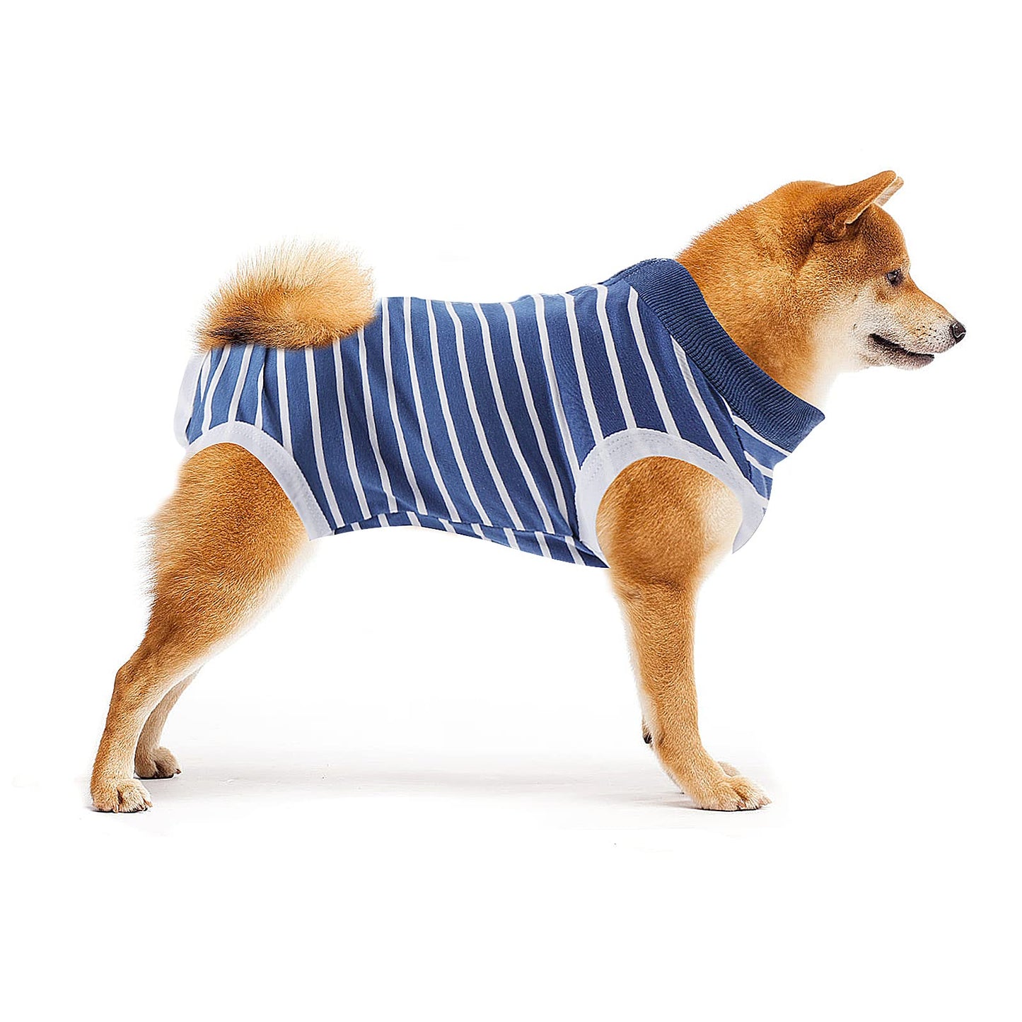 Cobee Dog Recovery Suit, Puppy Wounds After Surgery for Male/Female Dog, Dog Abdominal Wound Protector Pet Surgical Snugly Suit After Surgery for Small Medium Dogs (L Size, Blue Stripes)