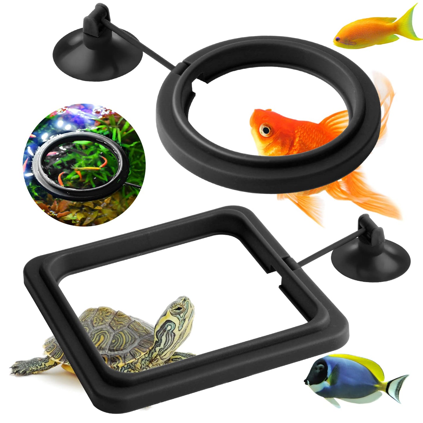 cobee Fish Feeding Ring, Fish Feeder Aquarium Fish Turtle Tank Accessories Food Feeder Circle 2 Pieces (black)