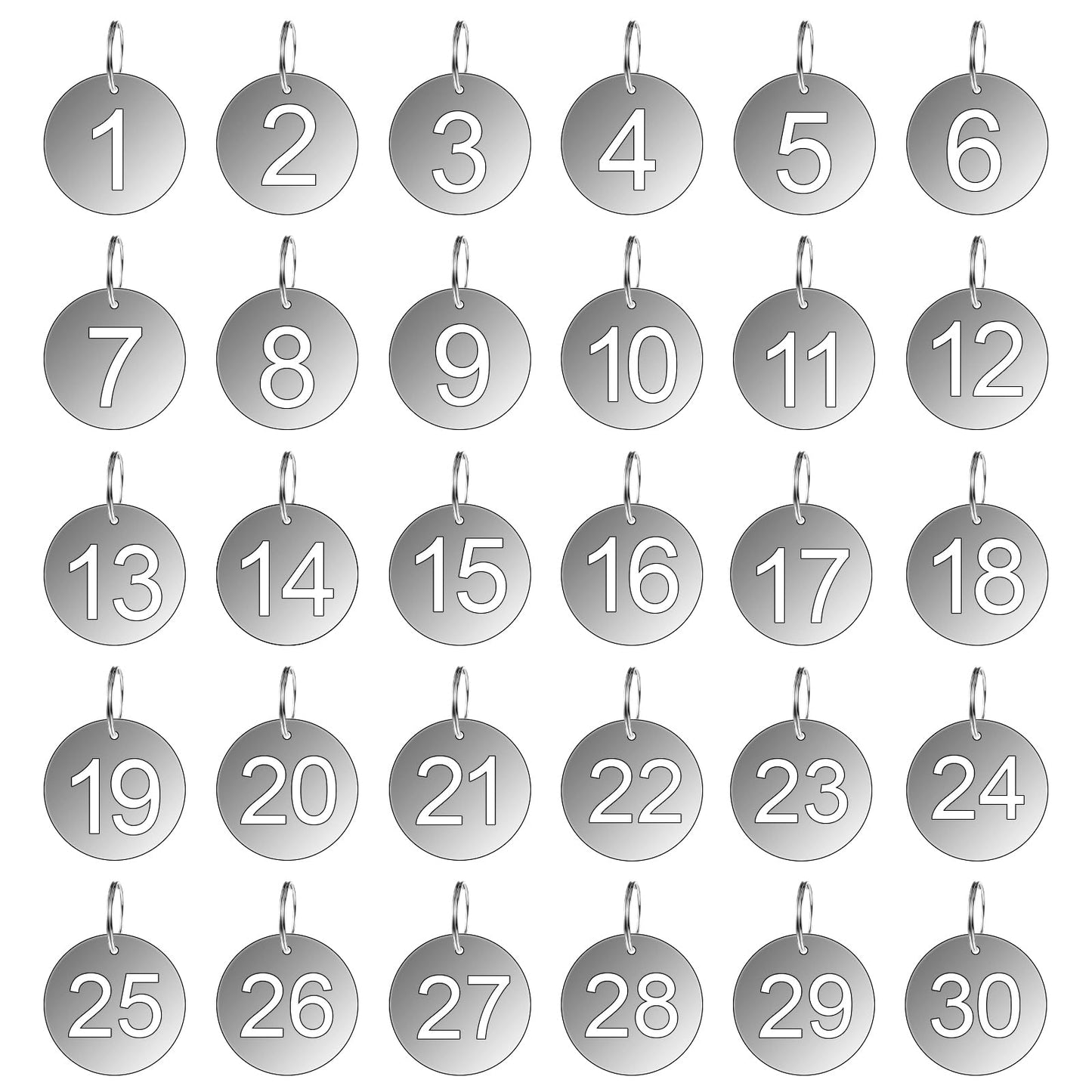 XLIUAX 1-30 Numbered Key Rings with Labels, Stainless Steel Round Metal Pendant Key Chains Labels for Home Office Garage Dorm Keys House Lockers Wardrobe Keys
