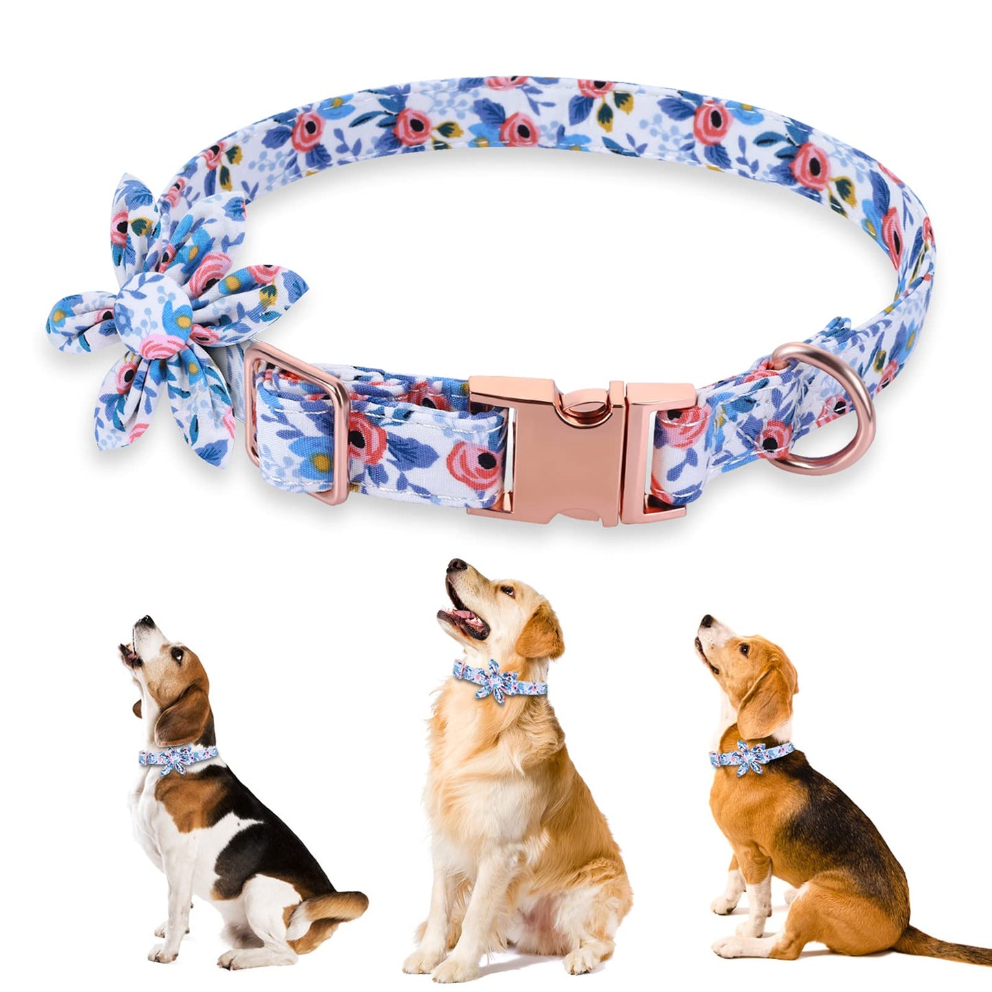 Molain Dog Flower Collar for Girl Dog Cute Girl Dog Collars with Safety Metal Buckle Dog Collar for Puppy Small Medium Large Dogs (Medium)