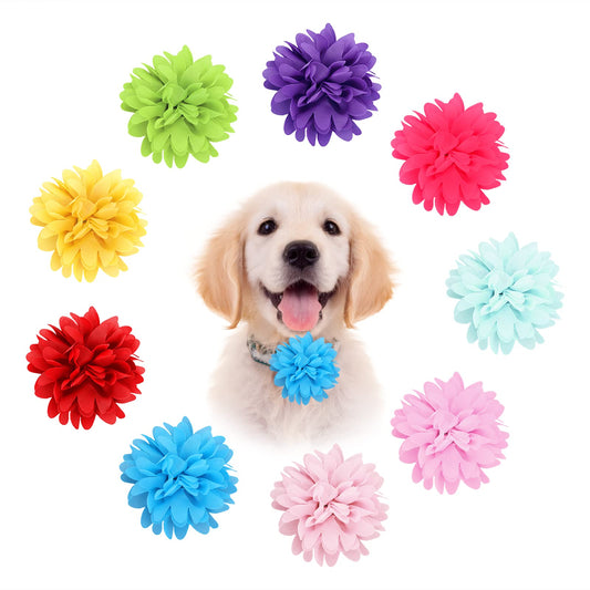 Molain Diameter 4 Inch Dog Collar Flowers Christmas Set Adjustable Pet Large Flower Bow Ties Attachment Multicolored Dog Charms Flower for Dog Collar Grooming Accessories XL (10 Pcs)