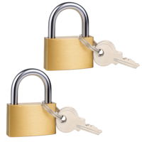 JIYIN Padlock 2PCS Small Padlocks with Keys, 30mm Brass Lock Heavy Duty Pad Locks for Gym Locker Padlocks, Suitcase Lock Luggage Shed Locks with Key