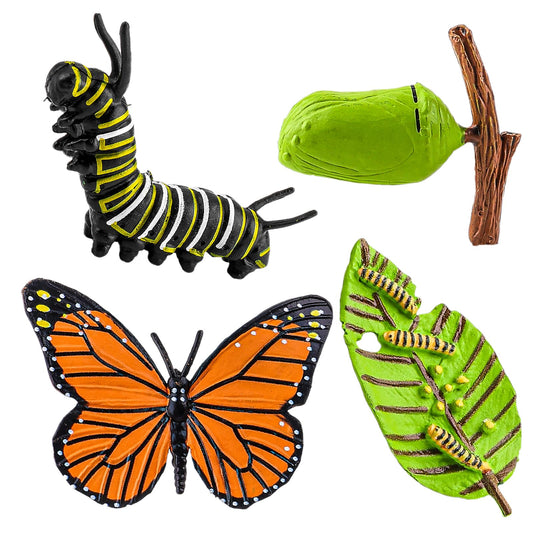 Amaxiu Insect Figurines - Butterfly Life Cycle Model, 4 Stages, Unisex, Children's Education Toy