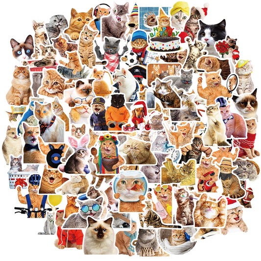 Amaxiu Funny Vinyl Cat Stickers, 100 Pcs Cute Cat Decals Waterproof Water Bottle Stickers Aesthetic Kawaii Kitten Stickers for Cat Lovers Adults Scrapbook Laptop Journal(C)