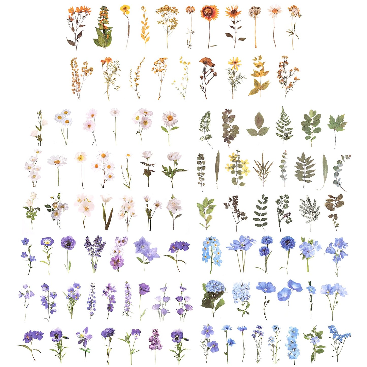 Giantree 200 Pcs Pressed Flower Themed Stickers, Vintage Dried Floral Botanical Journaling Stickers Transparent Flower Stickers for Adult Scrapbook Supplies Bullet Junk Journal Bottles Planner Laptop