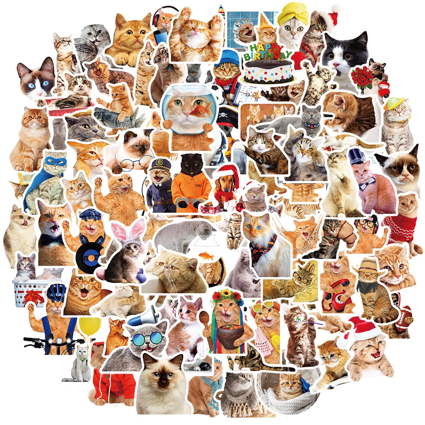 TIESOME Funny Cat Decals Stickers, 100 Pcs Kawaii Cat Stickers Waterproof Water Bottle Stickers Vinyl Aesthetic Kitten Stickers Aesthetic Decals for Cat Lovers Scrapbook Laptop Phone(B)