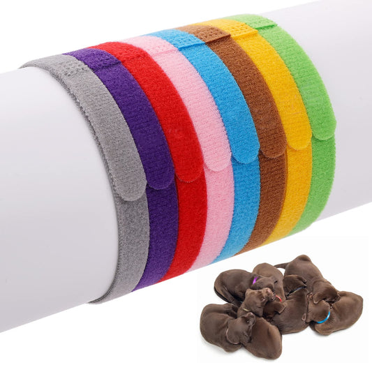 Molain 8 Pcs Puppy Collars, Assorted Colors Whelping Collars for Small Puppies, Adjustable ID Collars Bands for Small Cats Dogs, Puppy Identification Collars,Newborn Collars for Kittens (30cm/11.9in)