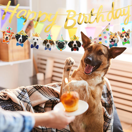 Andibro Dog Theme Happy Birthday Banner Set, 10 Dog Faces Decoration with Birthday Garland Colorful Doggy Party Bunting Crown Decor for Dog Theme Birthday Party Supplies (dog)