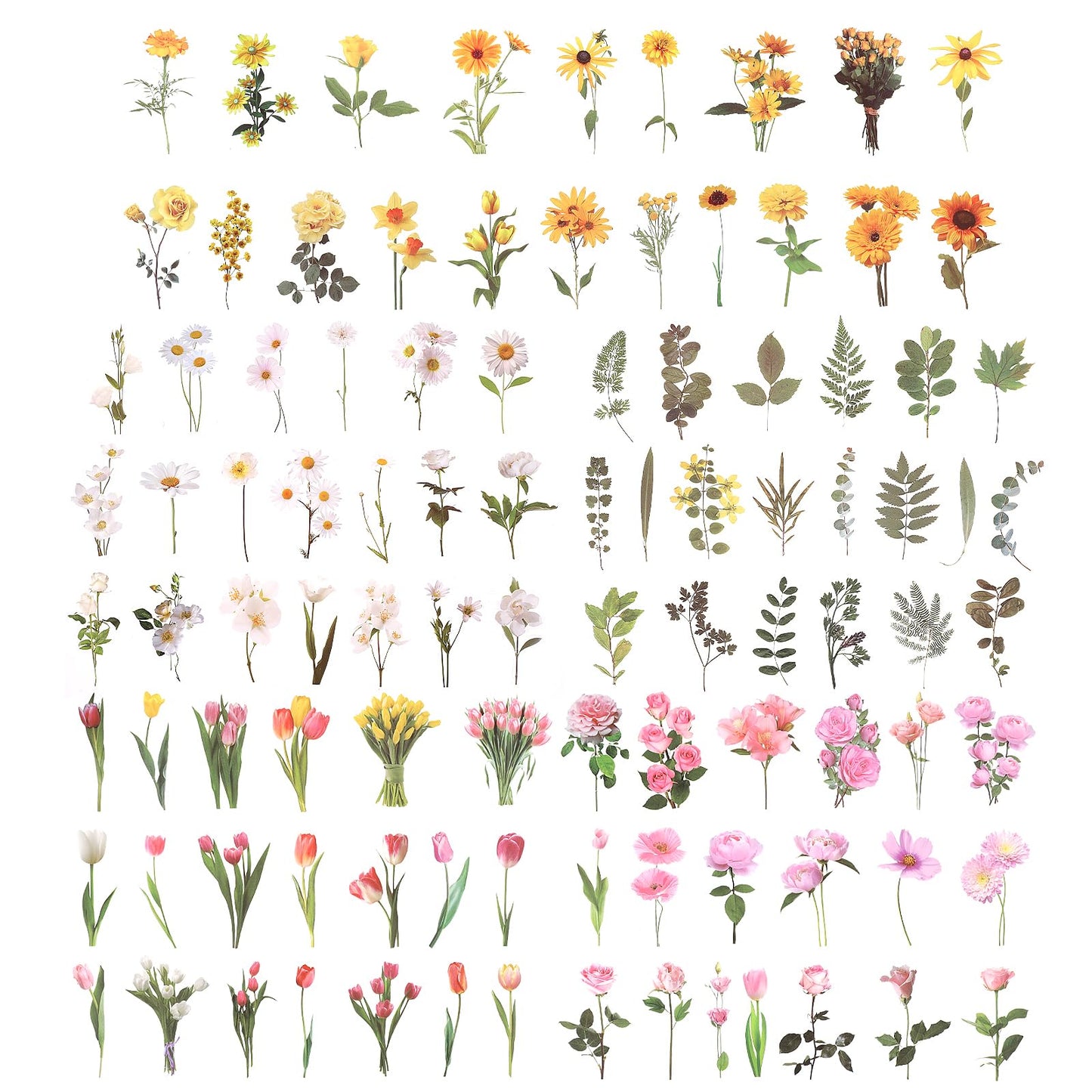 Giantree 200 Pcs Pressed Flower Themed Stickers, Vintage Dried Floral Botanical Journaling Stickers Transparent Flower Stickers for Adult Scrapbook Supplies Bullet Junk Journal Bottles Planner Laptop