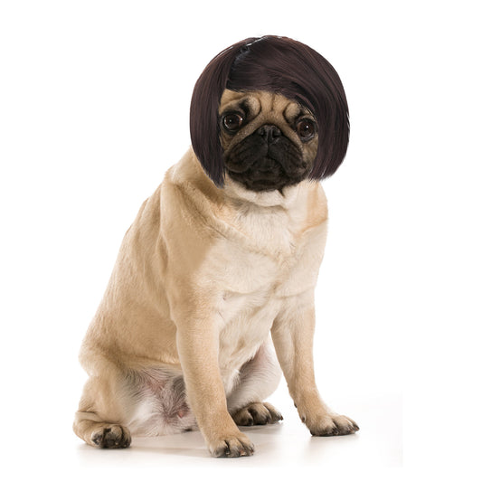 HJZHII Funny Dog Cosplay Wig, Adjustable Pet Costume Wig Headwear Dress Up Decorations for Small Medium Large Dog Cat Halloween Christmas Easter Party Supplies, Black Brown Straight Hair