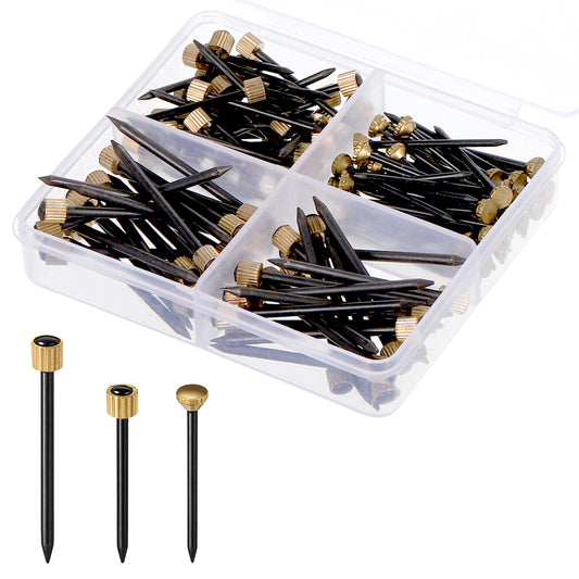 JJUNW 120 Pcs Picture Hanging Nails Pins Brass Head, Masonry Nails Picture Pins with Plastic Storage Box, Pictures Nail for Hanging Photo Frame