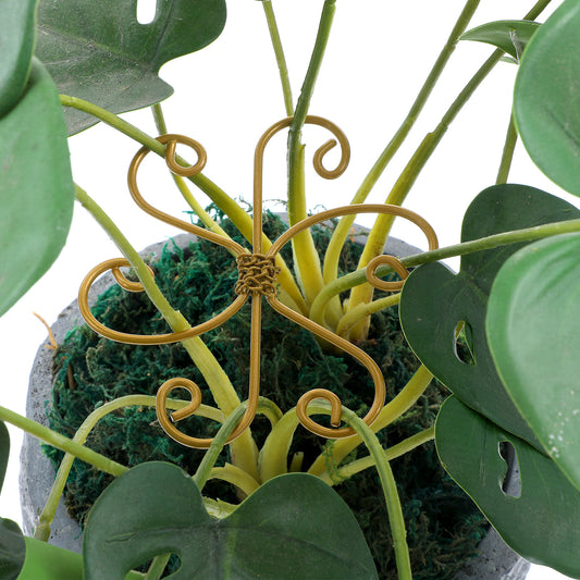 HJZHII 3PCS Plant Stem Support, Monstera Plant Support System Bamboo Clamp Set Durable Grapple Holder Supports for Outdoor & Indoor Growing Climbing Plants Leaf Stabilization Support